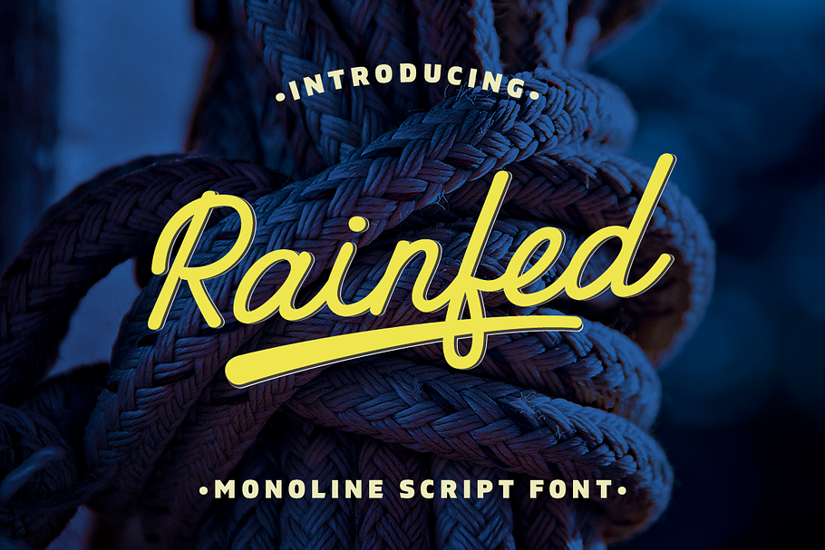 Rainfed in Script Fonts - product preview 8