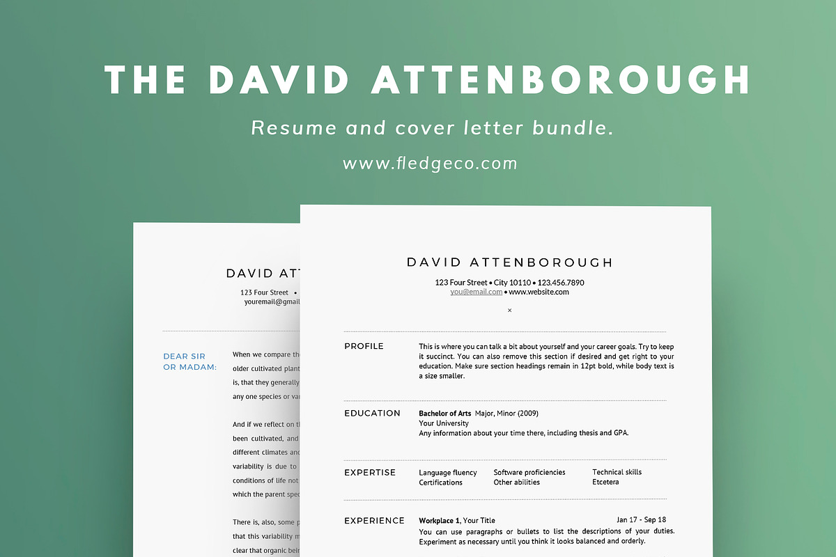The David Attenborough Resume Set in Resume Templates - product preview 8