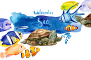 Marine life, watercolor fish