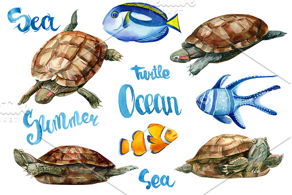 Marine life, watercolor fish in Illustrations - product preview 1