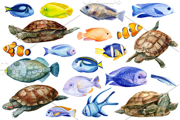 Marine life, watercolor fish in Illustrations - product preview 2