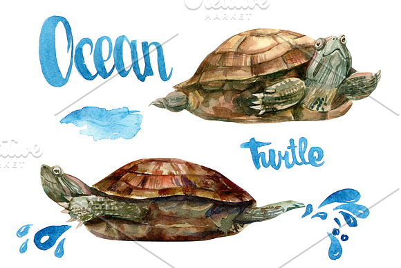 Marine life, watercolor fish in Illustrations - product preview 3
