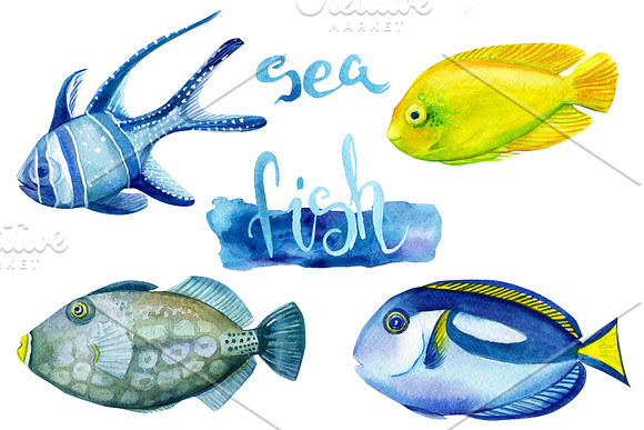 Marine life, watercolor fish in Illustrations - product preview 4