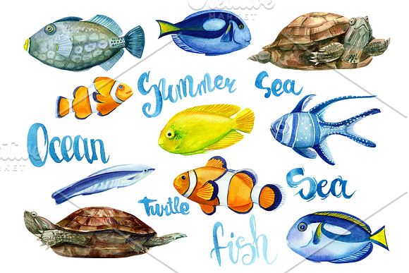 Marine life, watercolor fish in Illustrations - product preview 6
