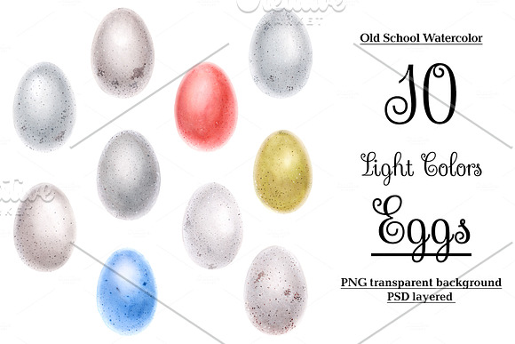 Watercolor bird eggs in Illustrations - product preview 1