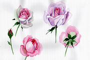 Pink rose watercolor flower PNG