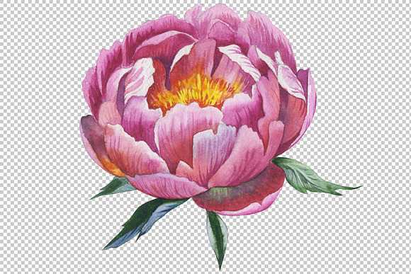 Red peony watercolor flower PNG in Illustrations - product preview 3