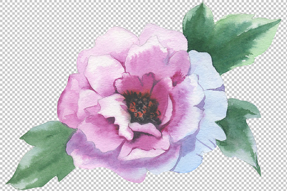 Red peony watercolor flower PNG in Illustrations - product preview 5
