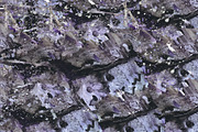 Black and purple abstract 