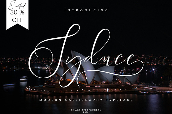 Sydnee Modern Calligraphy Font in Calligraphy Fonts - product preview 10