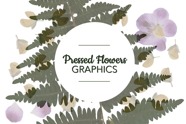 Pressed Flowers PNG Graphics