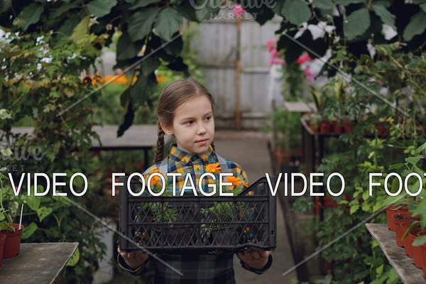 Adorable little girl is carrying container with pot flowers in greenhouse, looking around at beautiful blooming plants, smelling them and smiling.