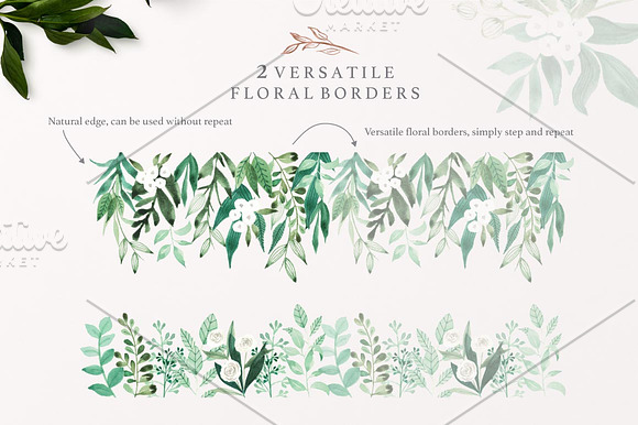 Botanist Watercolor Greenery Leaves in Illustrations - product preview 4