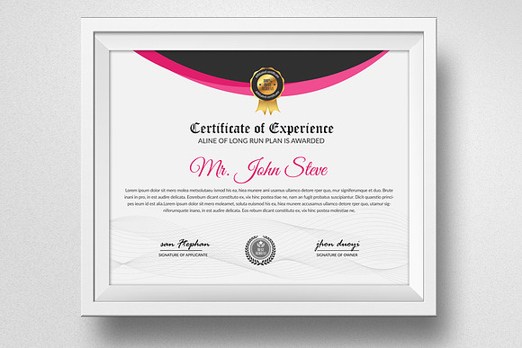 Professional Certificate Word Design in Stationery Templates - product preview 1