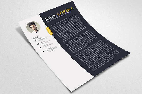 Word Professional Reusme Design in Resume Templates - product preview 2