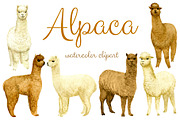 Watercolor Alpaca, Clip arts