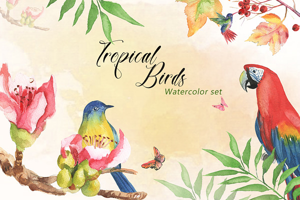 Tropical Birds Watercolor Set