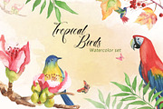 Tropical Birds Watercolor Set