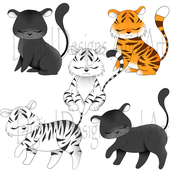 Wild cats clipart in Illustrations - product preview 2