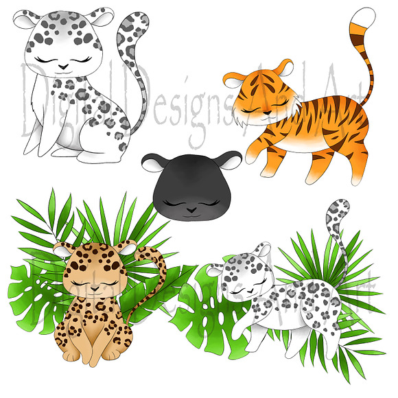 Wild cats clipart in Illustrations - product preview 5