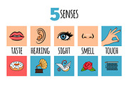 Five senses illustrations