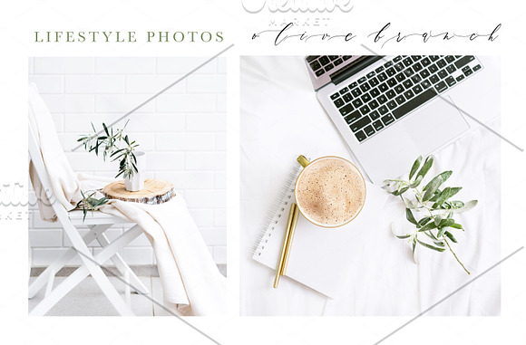 OLIVE BRANCH. 60 PHOTOS + MOCKUPS in Instagram Templates - product preview 1
