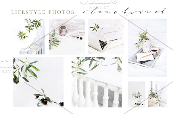 OLIVE BRANCH. 60 PHOTOS + MOCKUPS in Instagram Templates - product preview 2
