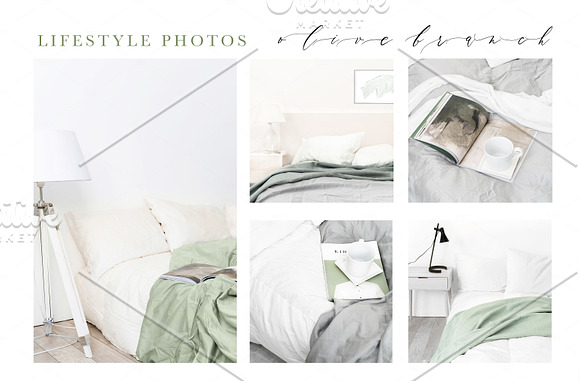 OLIVE BRANCH. 60 PHOTOS + MOCKUPS in Instagram Templates - product preview 4