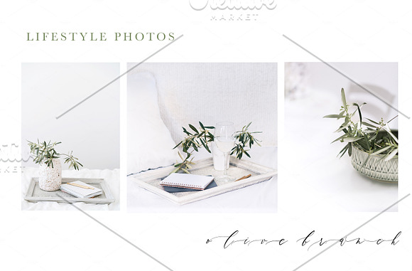 OLIVE BRANCH. 60 PHOTOS + MOCKUPS in Instagram Templates - product preview 6