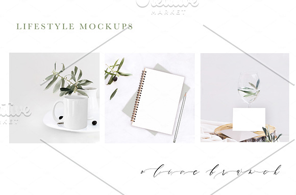 OLIVE BRANCH. 60 PHOTOS + MOCKUPS in Instagram Templates - product preview 8