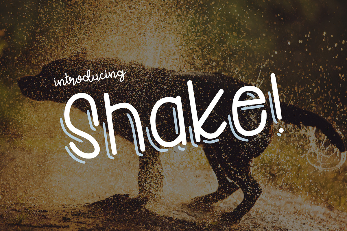 Shake in Display Fonts - product preview 8