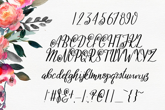 Ashleigh Script in Script Fonts - product preview 1