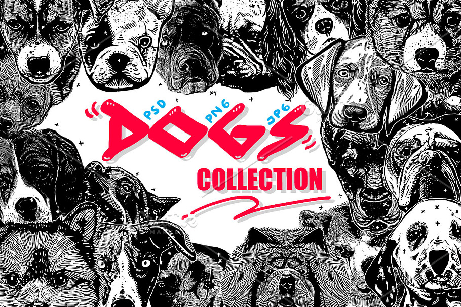 DOGS collection in Illustrations - product preview 8