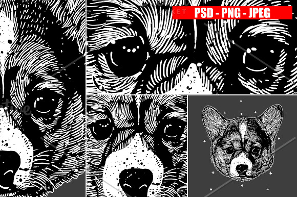 DOGS collection in Illustrations - product preview 3