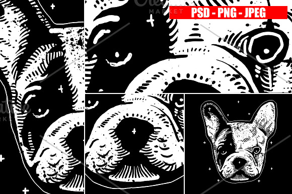 DOGS collection in Illustrations - product preview 4