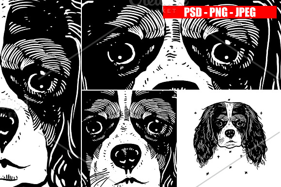 DOGS collection in Illustrations - product preview 7
