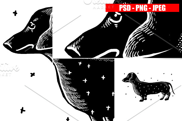 DOGS collection in Illustrations - product preview 10
