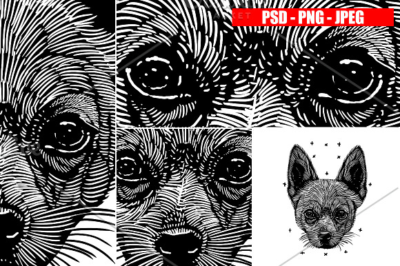 DOGS collection in Illustrations - product preview 11