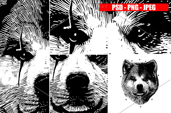 DOGS collection in Illustrations - product preview 15