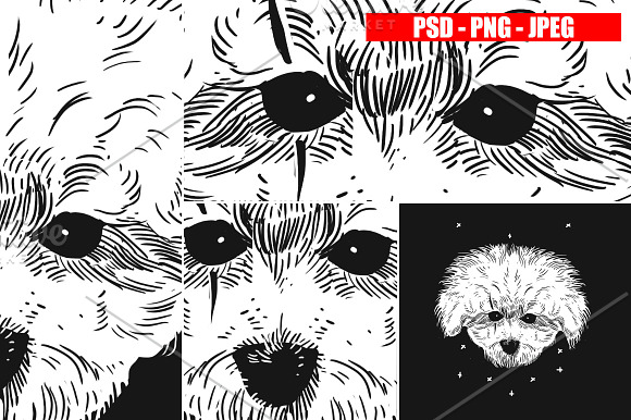 DOGS collection in Illustrations - product preview 18