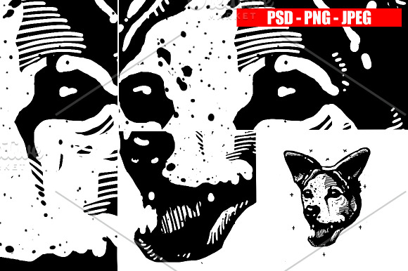 DOGS collection in Illustrations - product preview 19