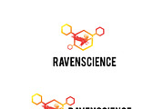 Raven Science Logo