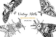 Vintage Moths Dark Forest Collection