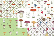 Mushrooms & Forest Collection