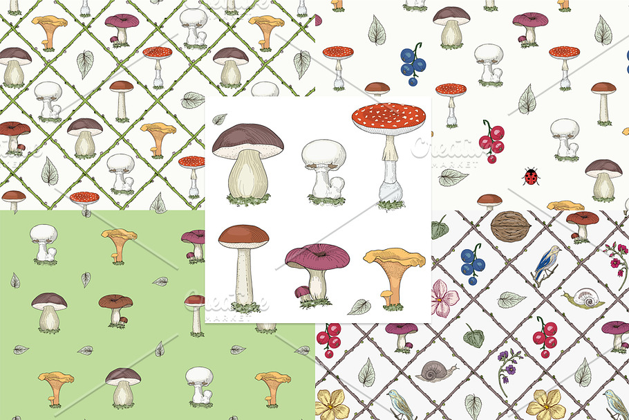 Mushrooms & Forest Collection in Patterns - product preview 8