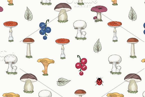 Mushrooms & Forest Collection in Patterns - product preview 2