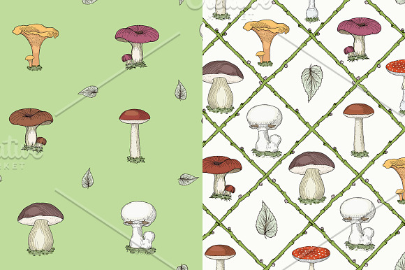Mushrooms & Forest Collection in Patterns - product preview 4