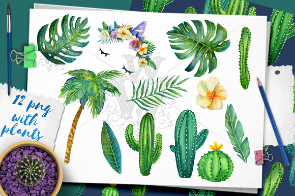 Huge Summer watercolor pack in Illustrations - product preview 7