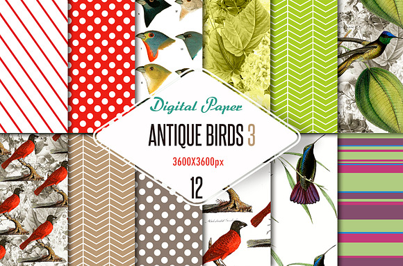 Digital paper antique birds 3 in Patterns - product preview 1
