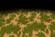 Grass texture Tile 3 (hand-painted) 